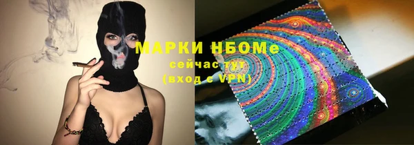 шишки Алексин