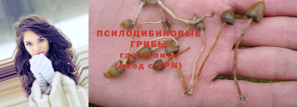 кристаллы Алзамай