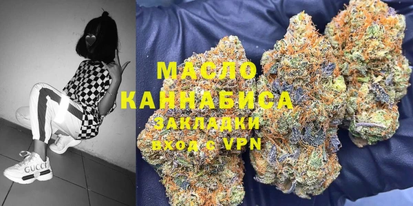 СК Снежногорск